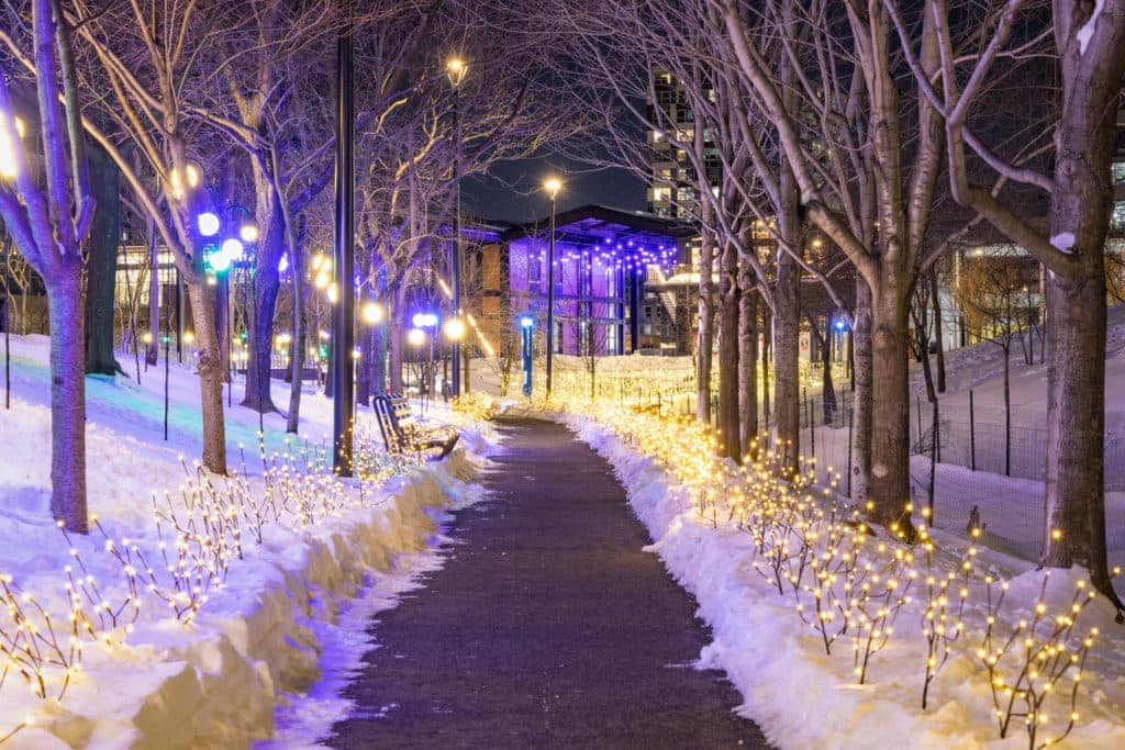 Winter park path lit with glowing string lights and snow-covered trees at nighttime