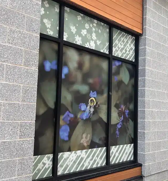Window display featuring close-up photo of a bumblebee on purple flowers in storefront