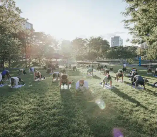 Community workout session with yoga mats aligned on green lawn in active outdoor setting