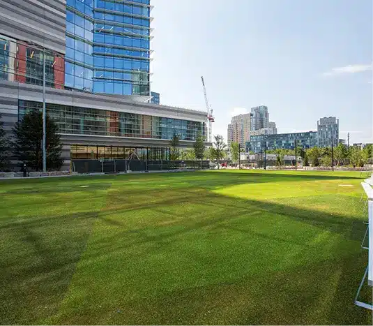 Wide grassy lawn beside glass office buildings, with clear skies and distant construction cranes