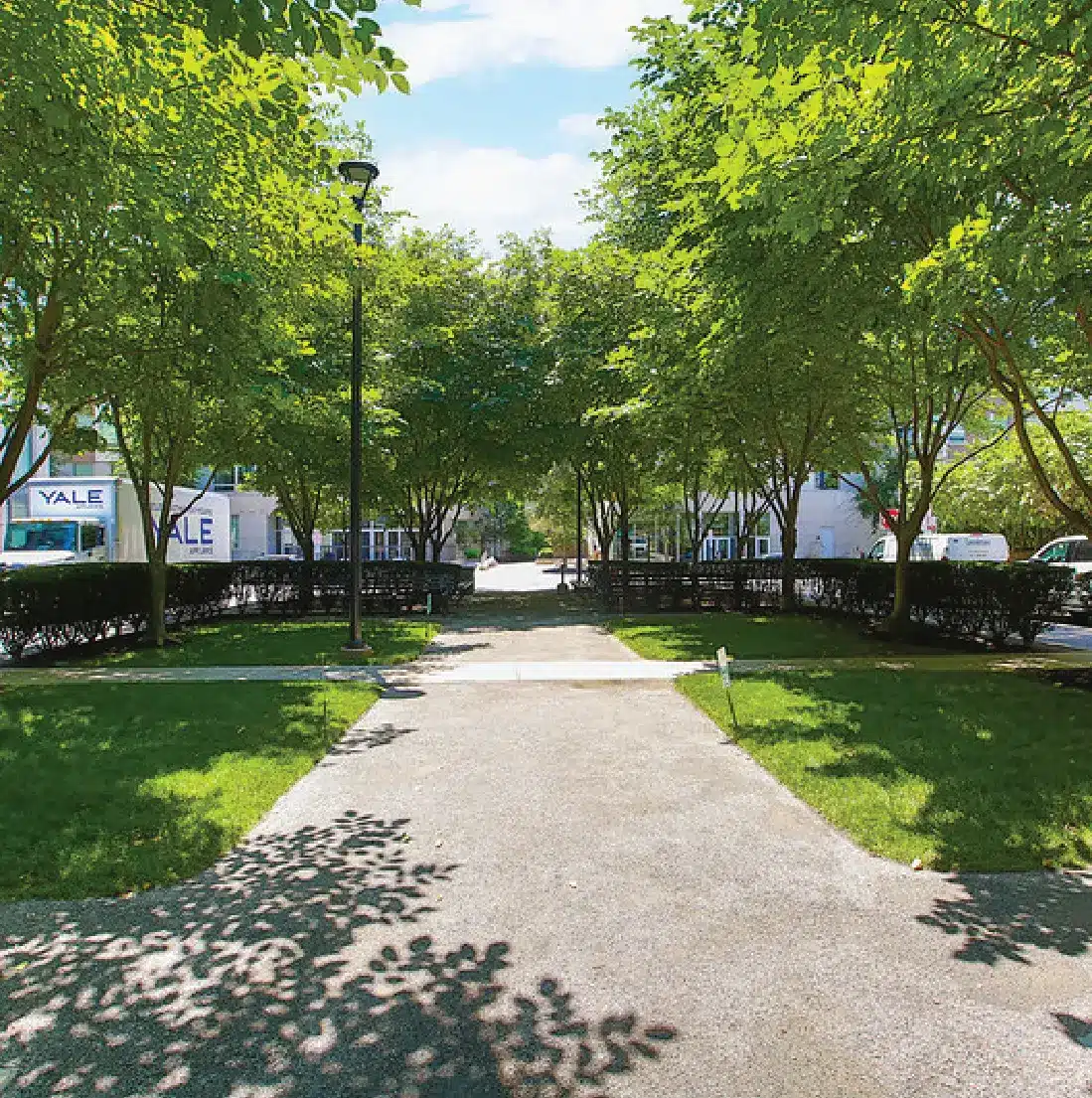 Tree-lined urban pathway with shadows leading to a commercial area with Yale trucks visible