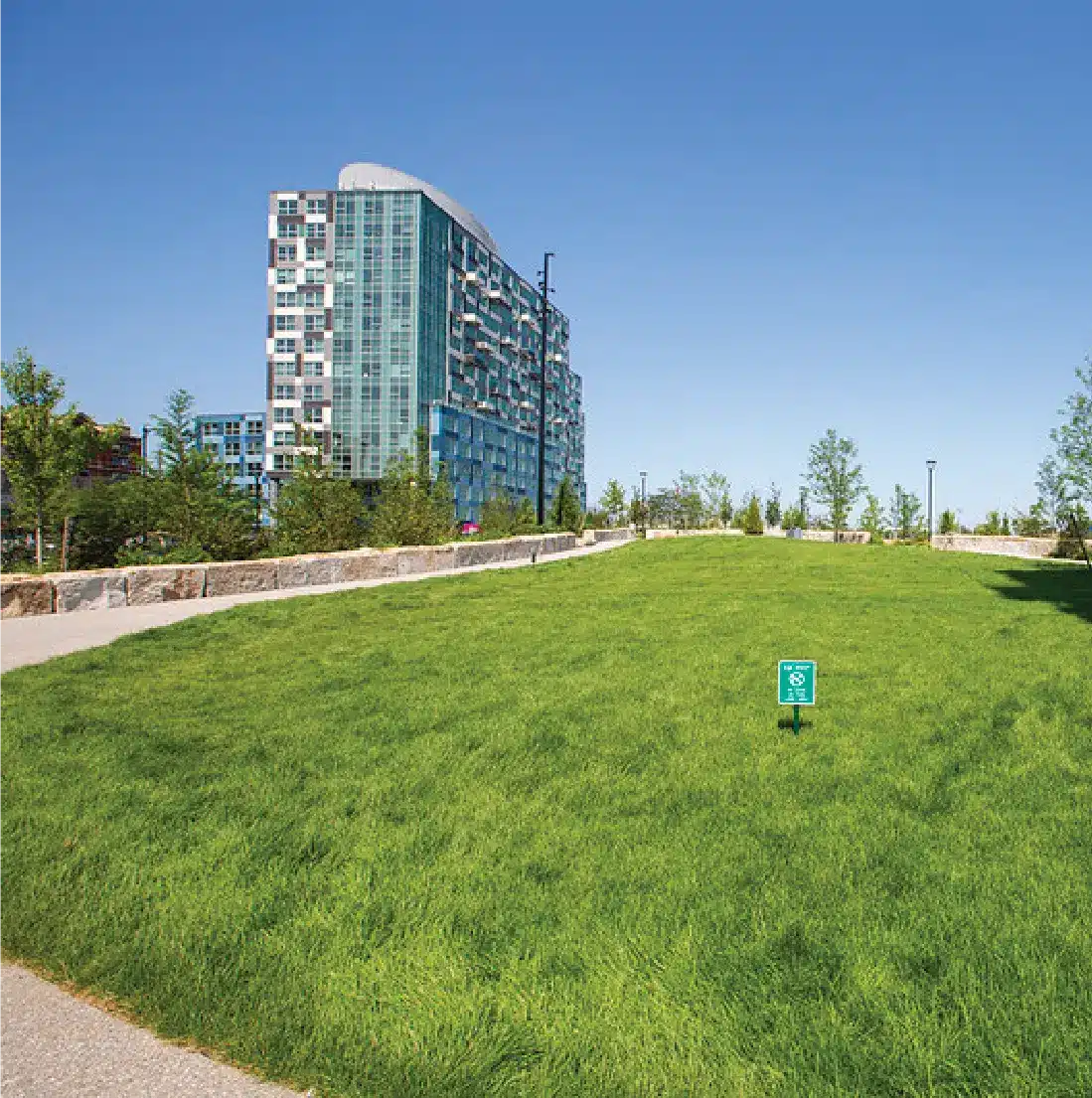 Expansive green lawn with urban residential tower in background under clear blue sky