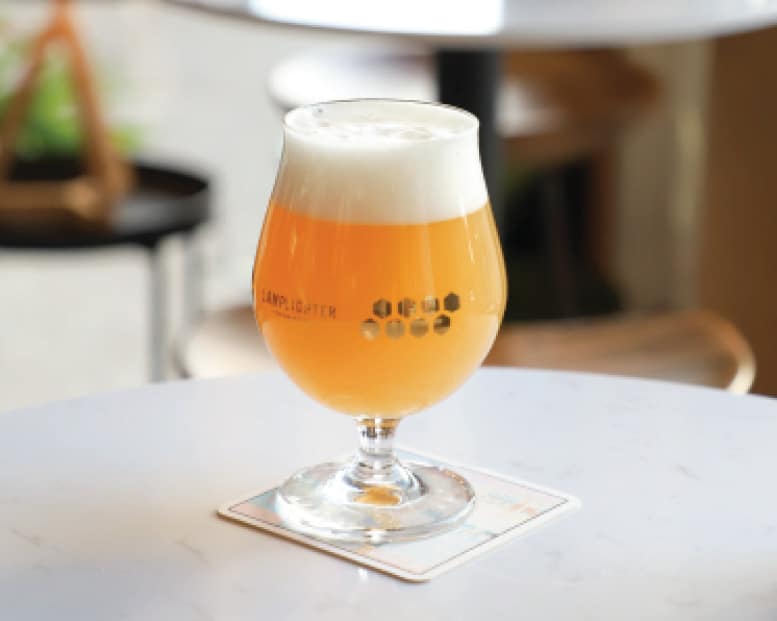 Hazy craft beer served in tulip glass on coaster at modern brewery table