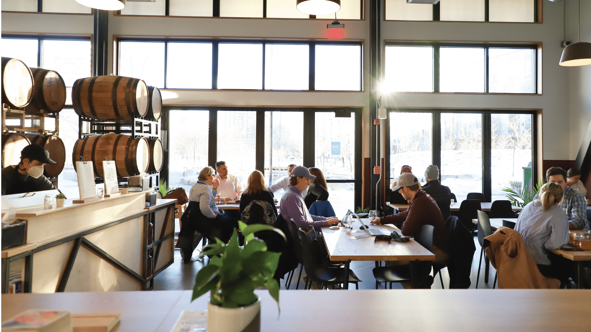 LampLighter Brewery: People enjoying drinks inside bright taproom with wood barrels and large sunlit windows