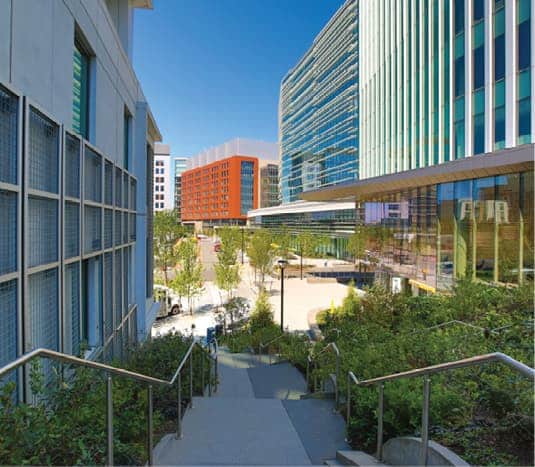 Stairway between modern buildings leading to landscaped plaza with curved seating and tree plantings