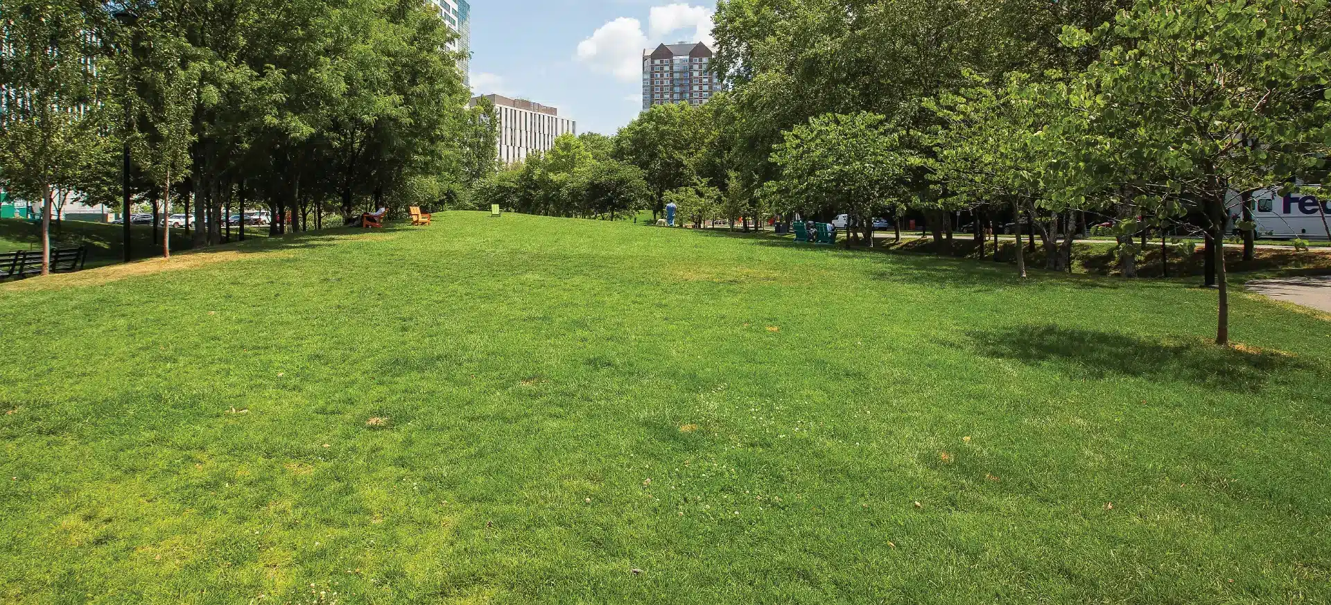 Expansive grassy park lawn surrounded by mature trees and adjacent to urban office buildings