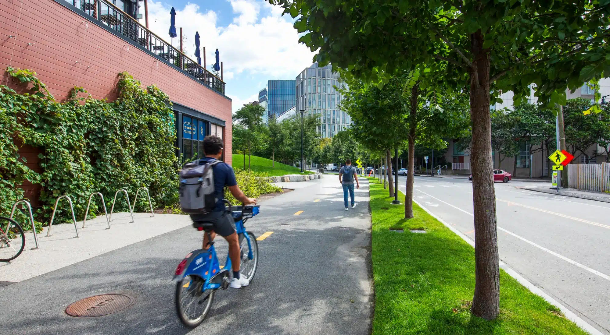 Urban cyclist and pedestrian navigating bike path beside red brick wall with lush vine covering