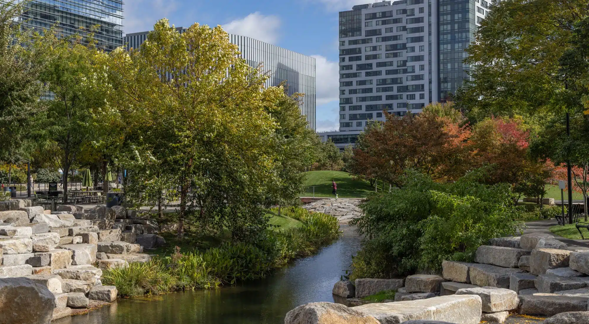Lush landscaped park creek with large boulders and trees framed by urban high-rise buildings